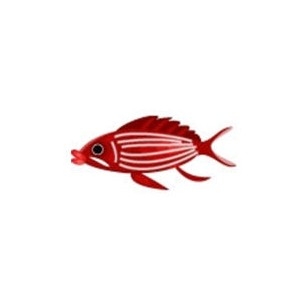 Samurai Squirrelfish